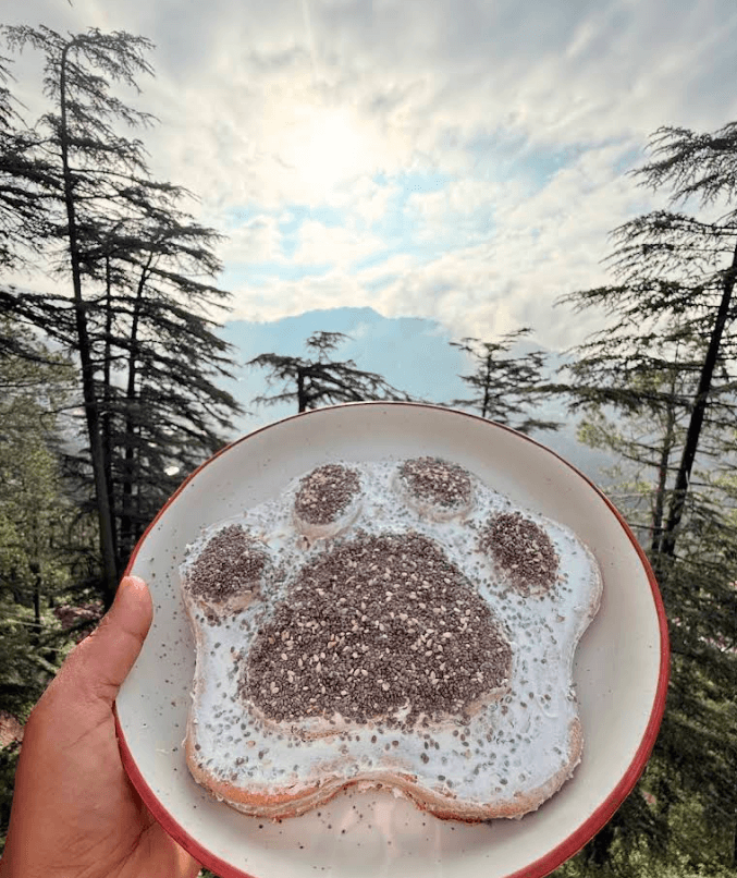 Shyamala Pet Cafe & Bakery (Shimla)