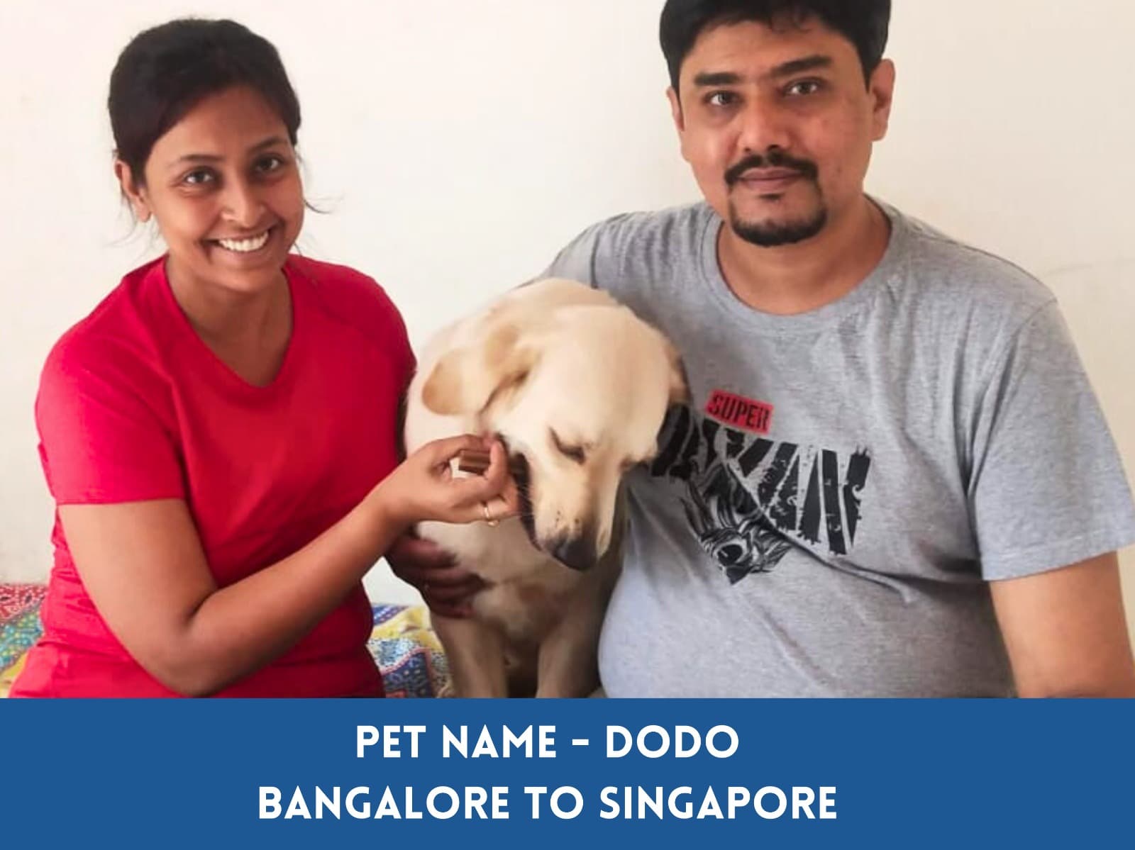 Global petcab - International & Domestic Pet Relocation Services