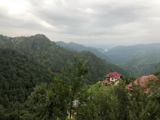 Wild Aura Homes