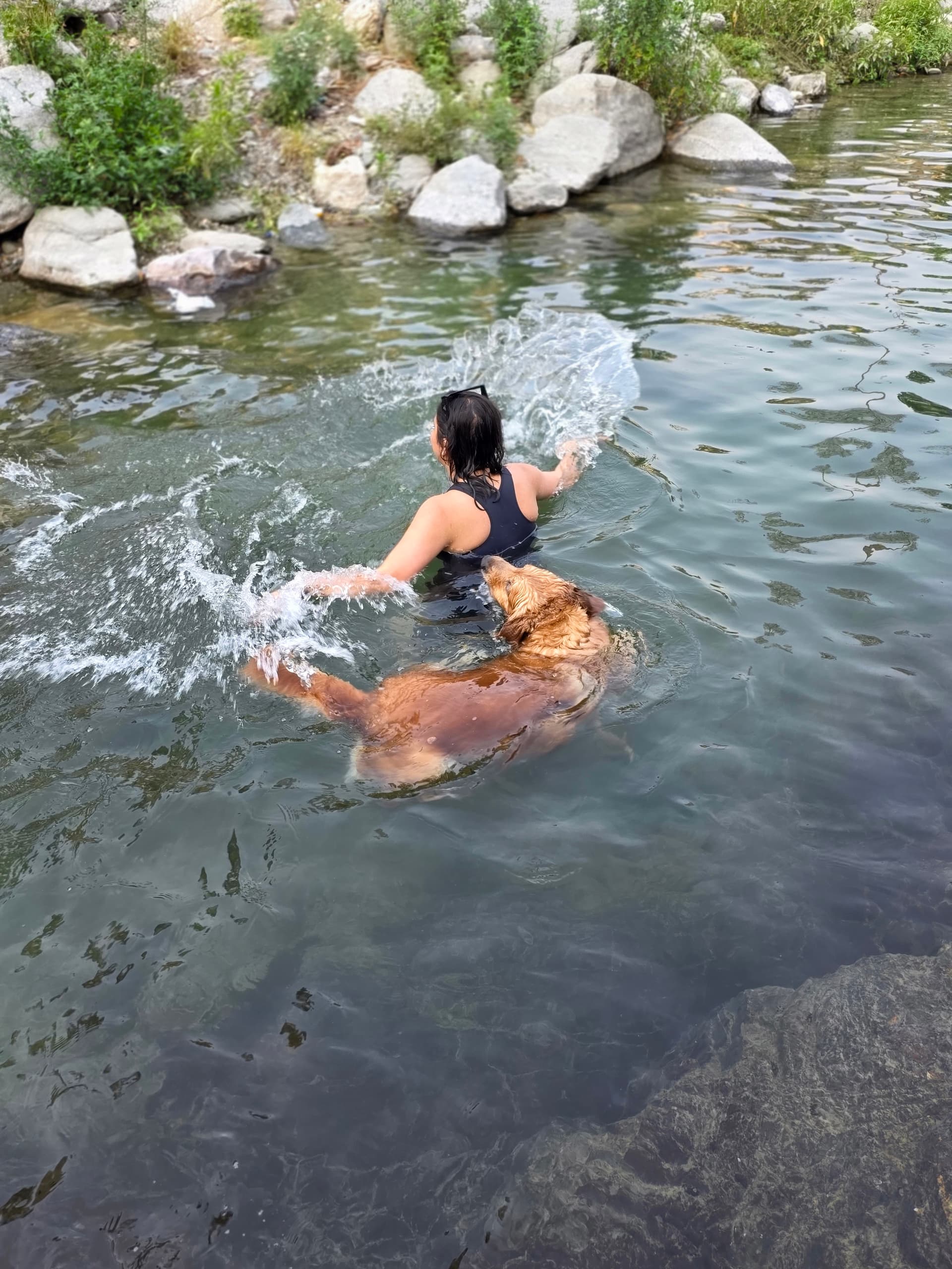 Shallow Gaula River Access Point for Dogs