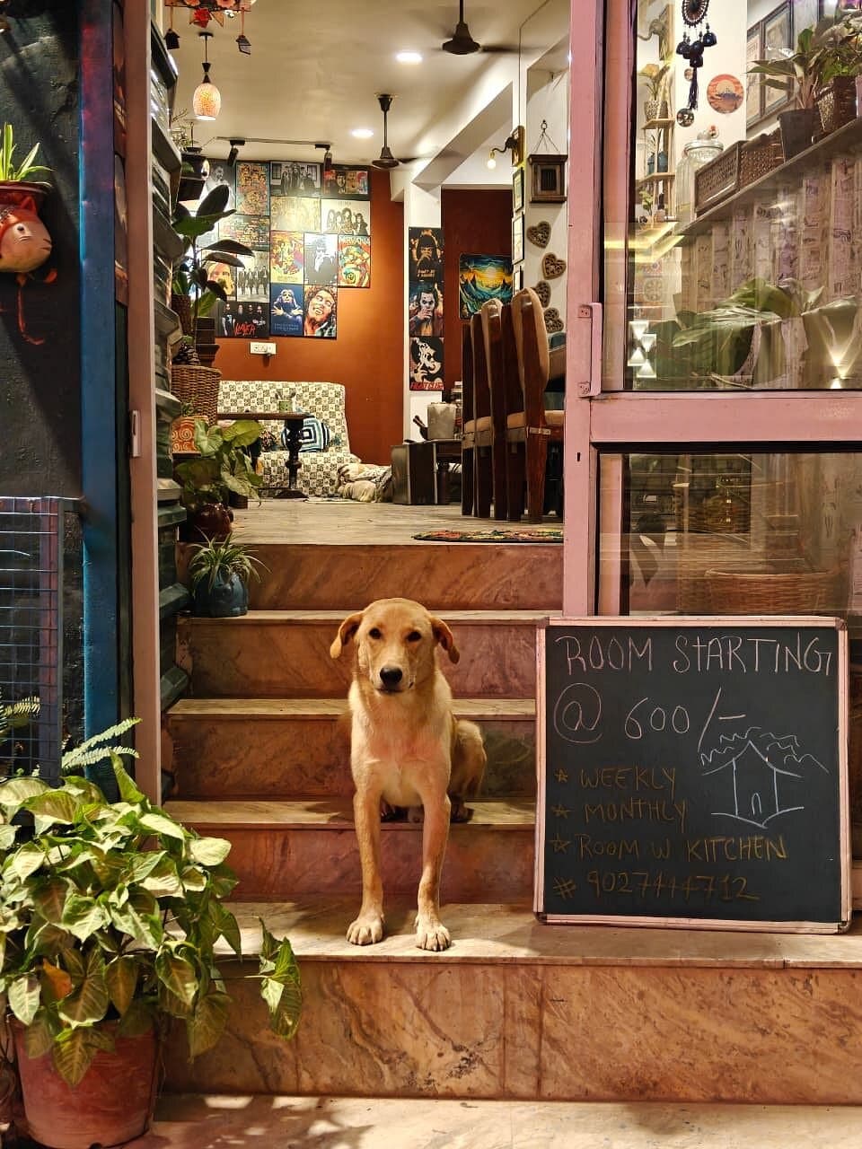 Bistro De Lavenia (Rishikesh)