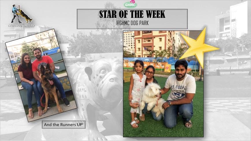 GHMC Dog Park, Gachibowli