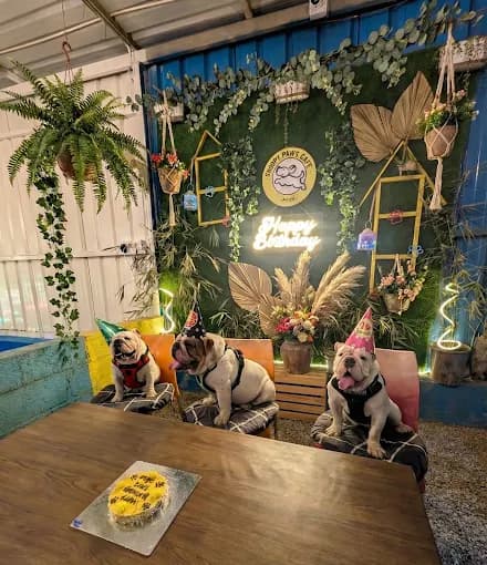 Snoopy Paws Cafe