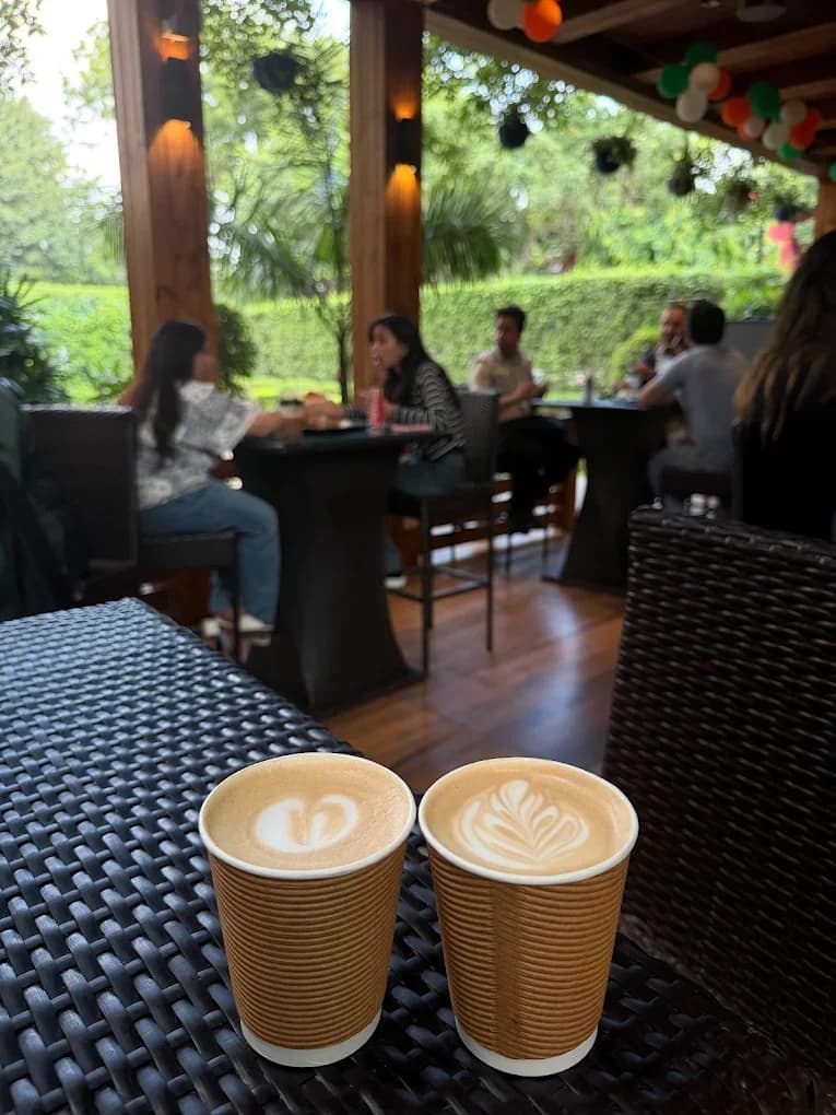 Cine Tree Cafe (New Delhi)