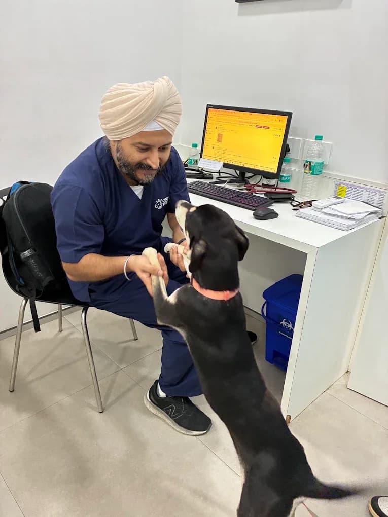 Crown Vet Sushant Lok (Gurugram)