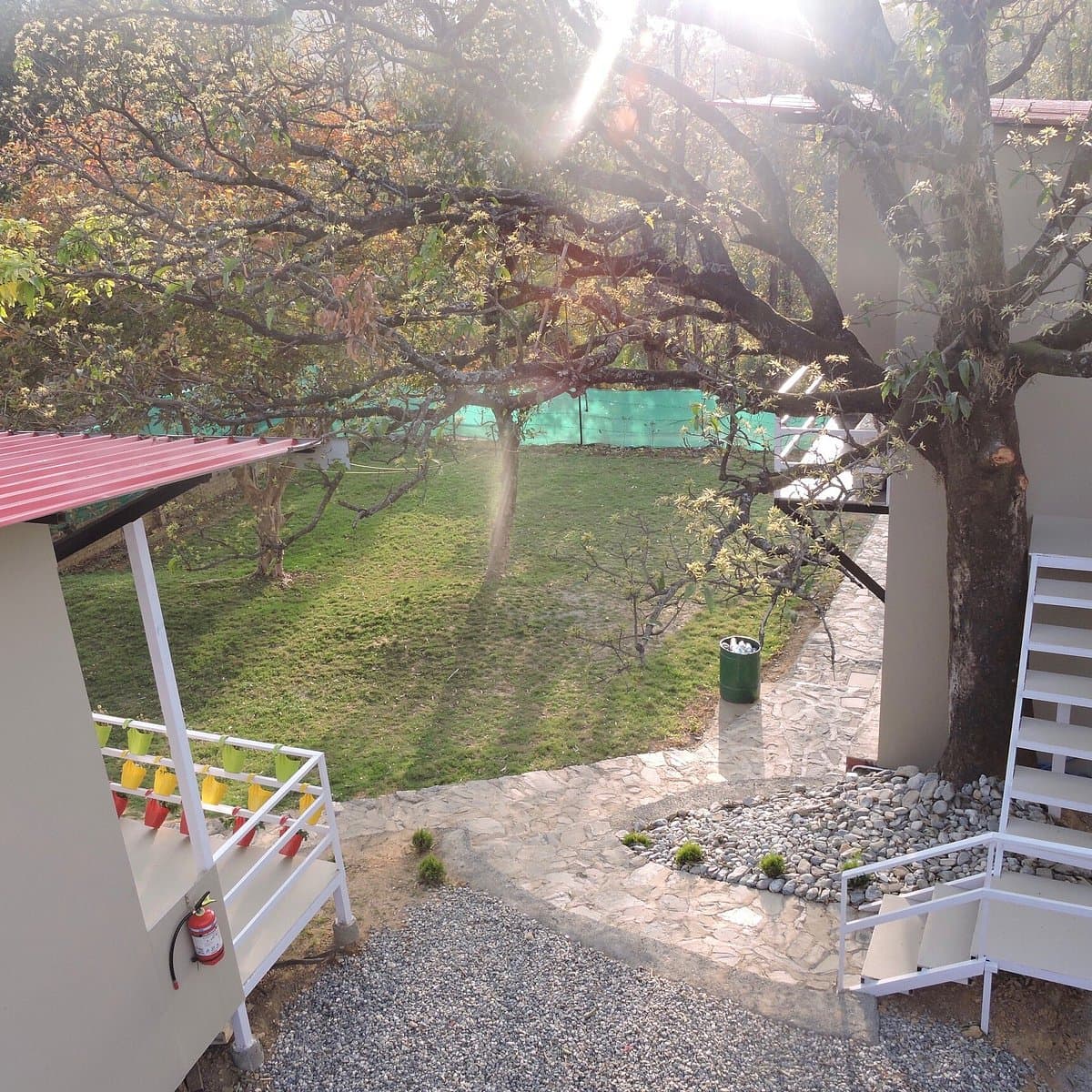 Jungle tale : A pet friendly resort (Dehradun)