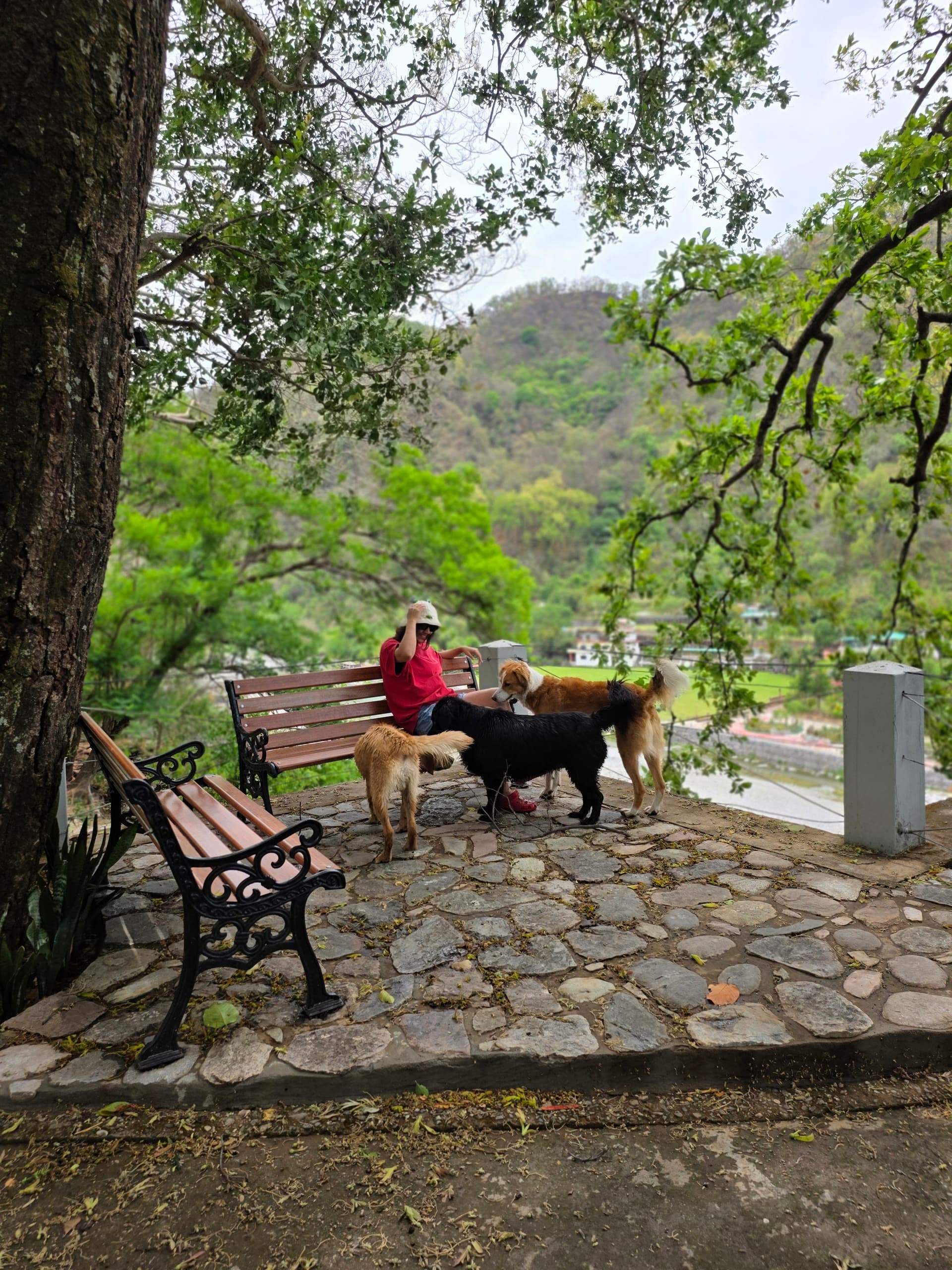 The Den Corbett Resort & Spa - Jim Corbett
