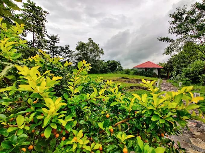 Forganic Farm Produce & Agro Tourism