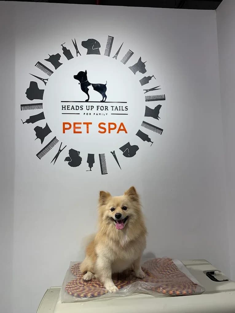 Heads Up For Tails Pet Store & Spa - DLF My Pad, Lucknow (Lucknow)