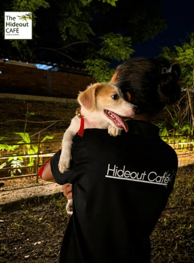 The HideOut Café