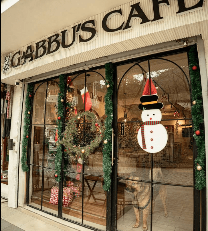Gabbu's Cafe (Manali)