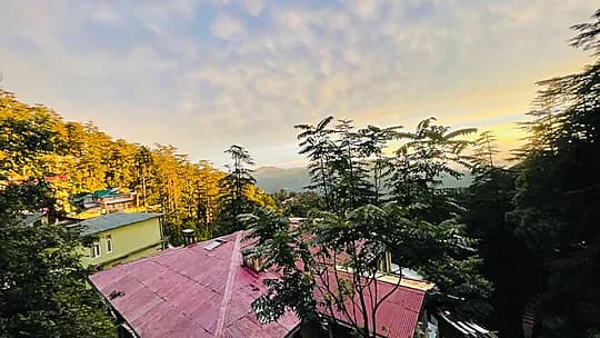 Backwoods B&B Mall Road Shimla (Balcony Rooms) Best Stay in Shimla
