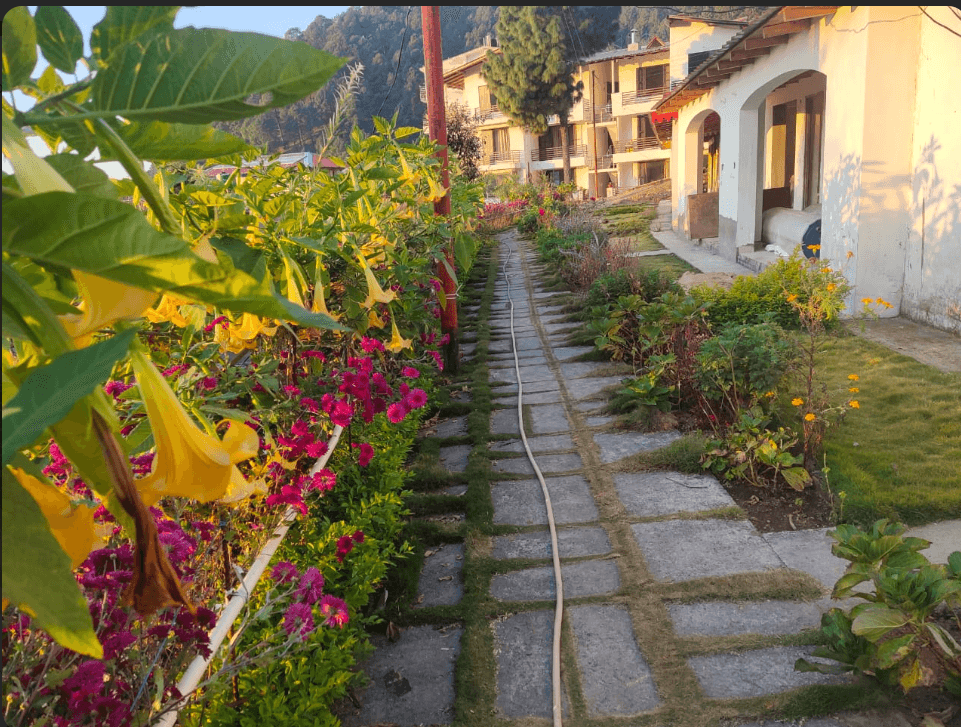 Just Naturals Wellness Resort Nainital