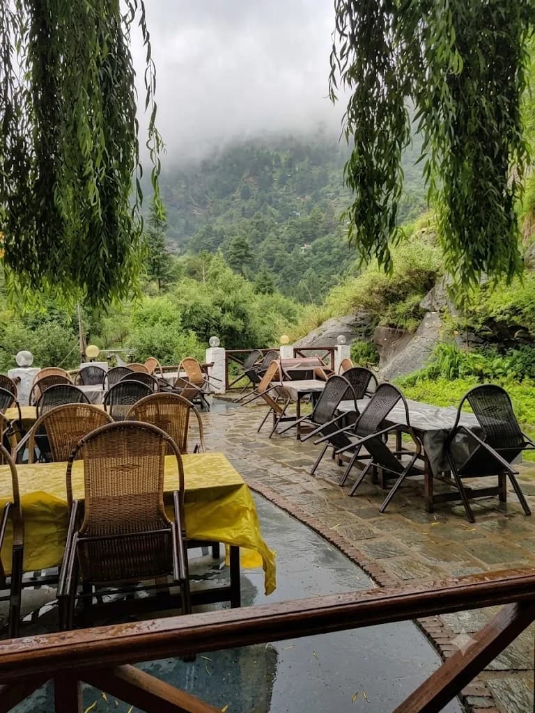 𝗧𝗵𝗲 𝗟𝗮𝘇𝘆 𝗗𝗼𝗴 Lounge