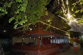 Tree Aura Retreat (Rishikesh)