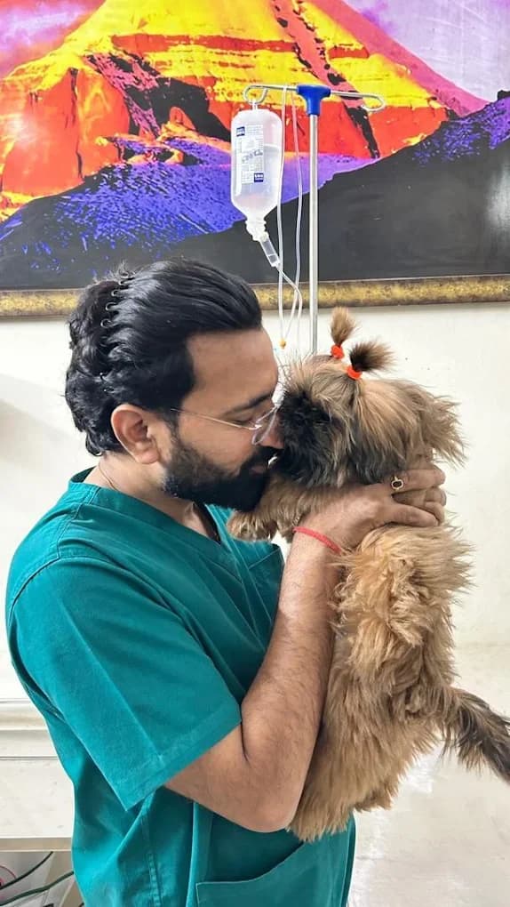 Blue Coat Vet Pet Clinic, Sushant Lok (Gurugram)