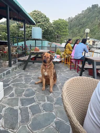 Seegreen Cafe Rooftop Cafe (Mussorie)