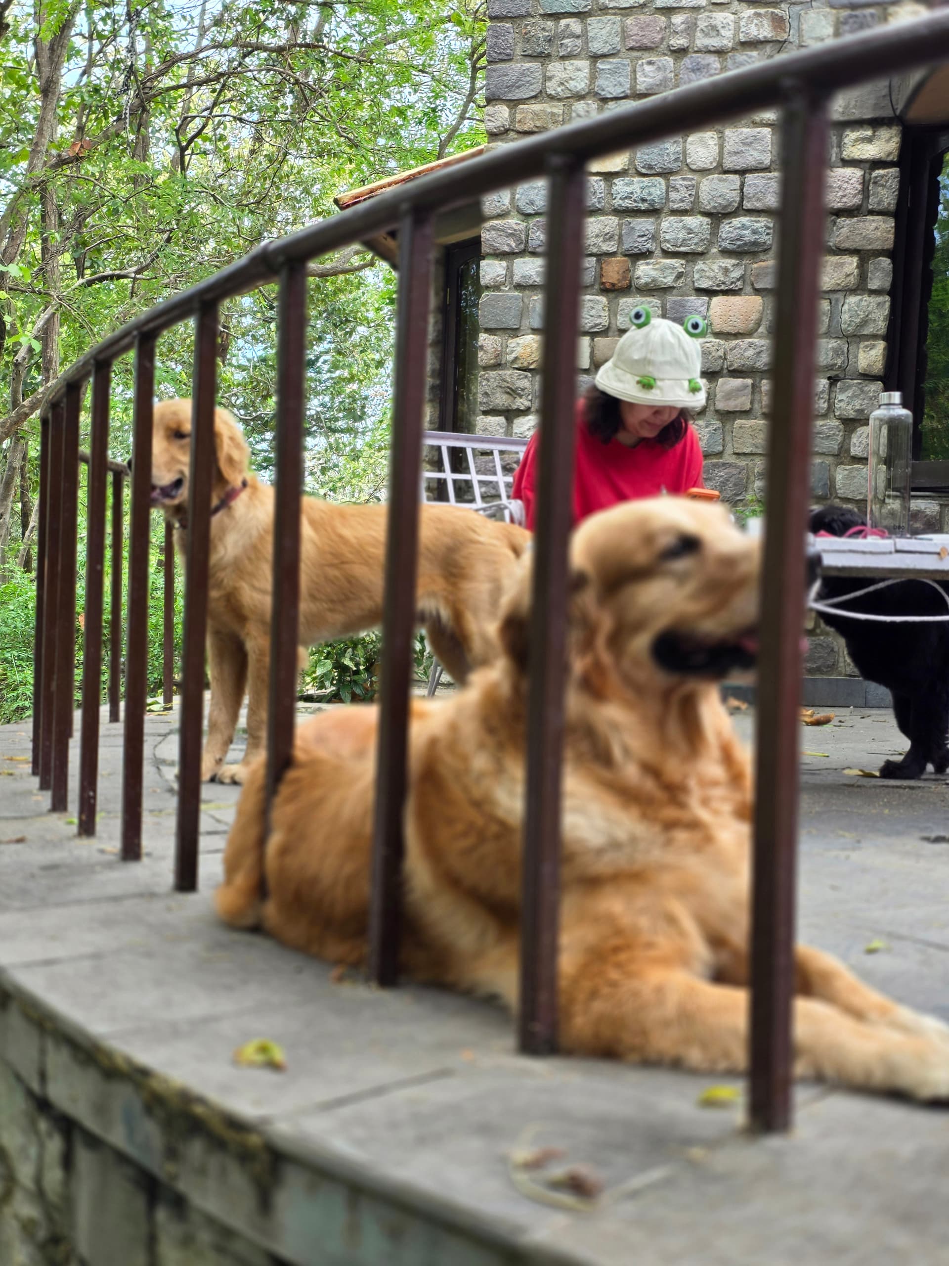 The Den Corbett Resort & Spa - Jim Corbett