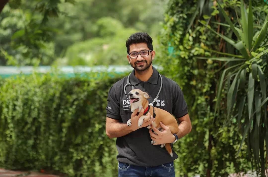 DCC Animal Hospital & Petcare - Best veterinary & pet grooming, Delhi
