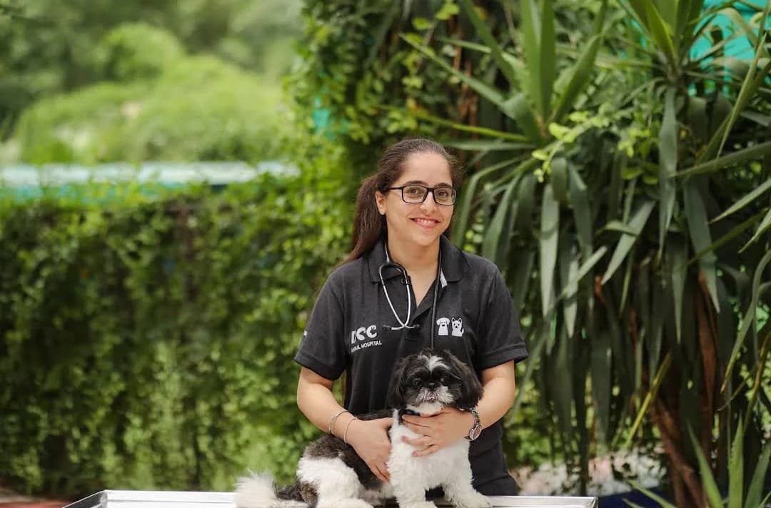 DCC Animal Hospital & Petcare - Best veterinary & pet grooming, Delhi