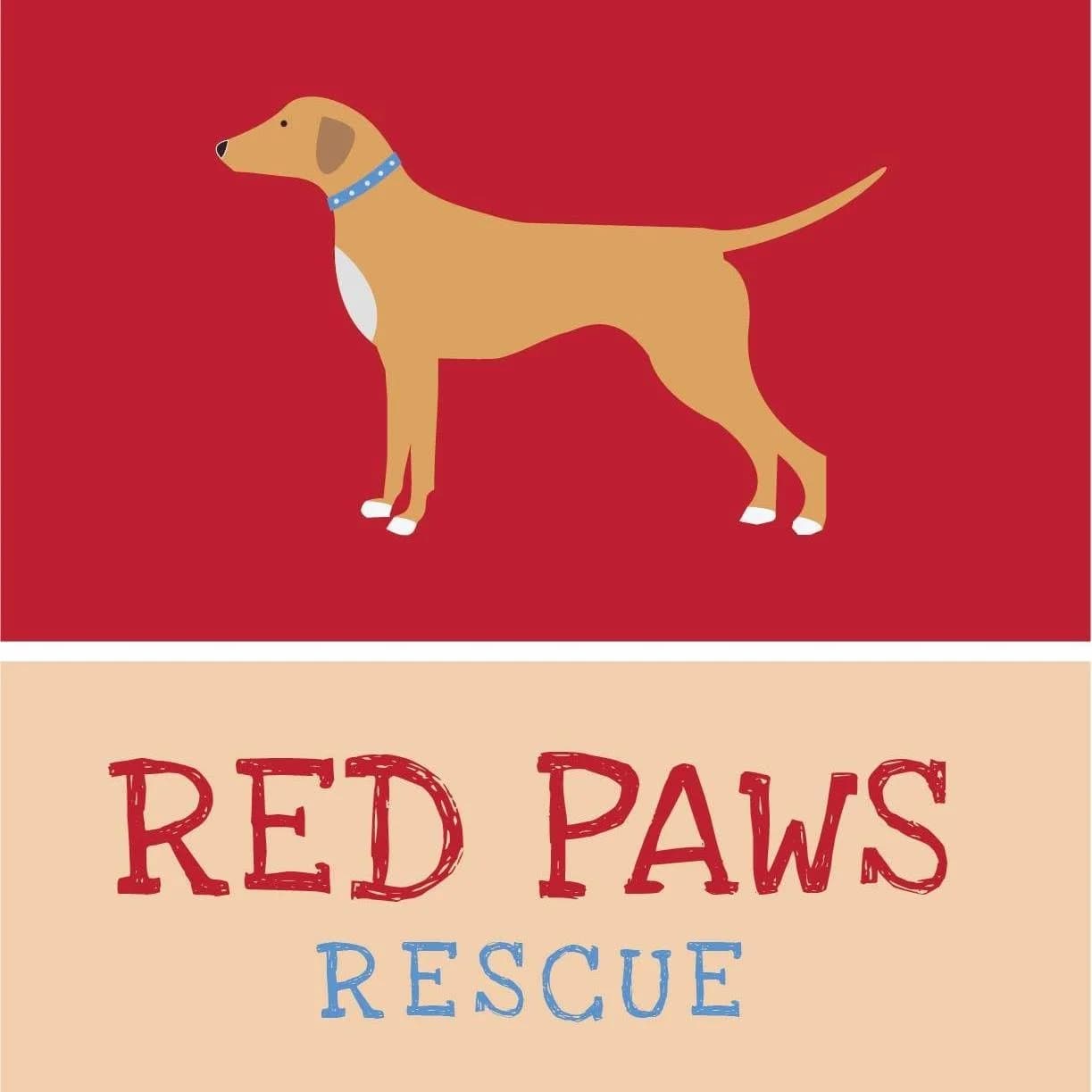 Red Paws Rescue Head Office (New Delhi)