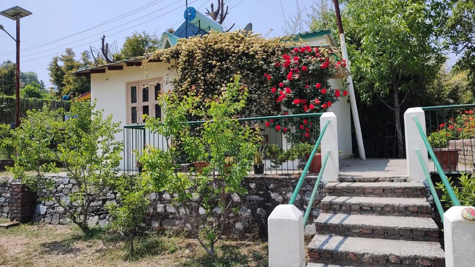 Pine trails jungle camp kasauli