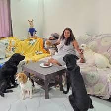 The Doggy Den Boarding, Pune