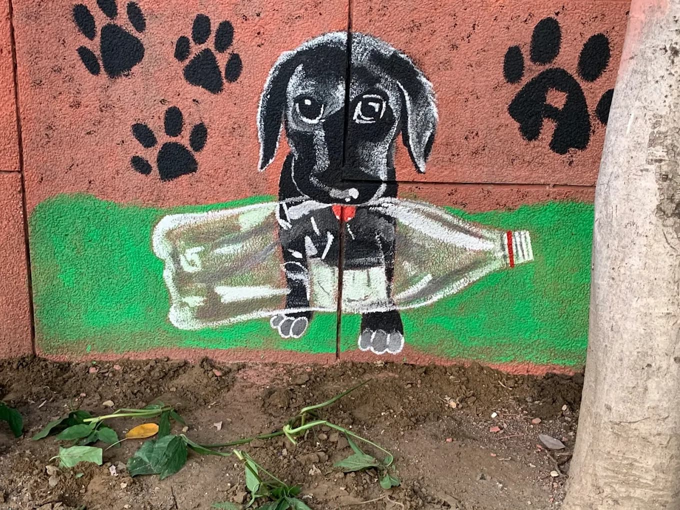 Delhi's First Dog Park (Rajinder Nagar)