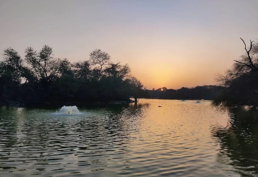 Deer Park Off-Leash Area (Hauz Khas, Delhi)