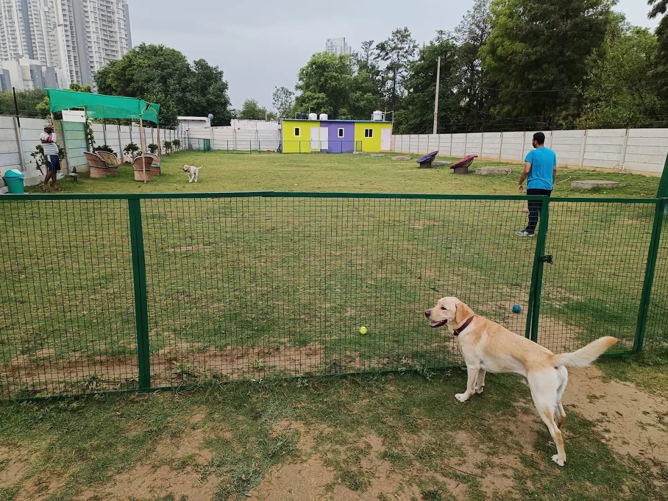 Muddy Paws Dog Park & Cafe (Gurugram)