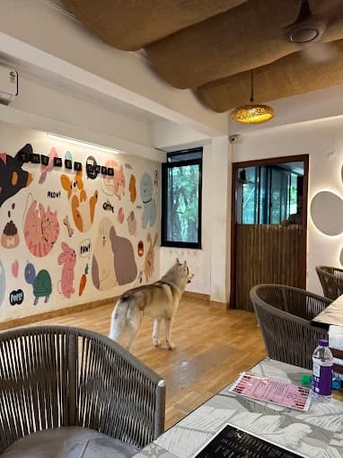 The Pet Cafe Pune