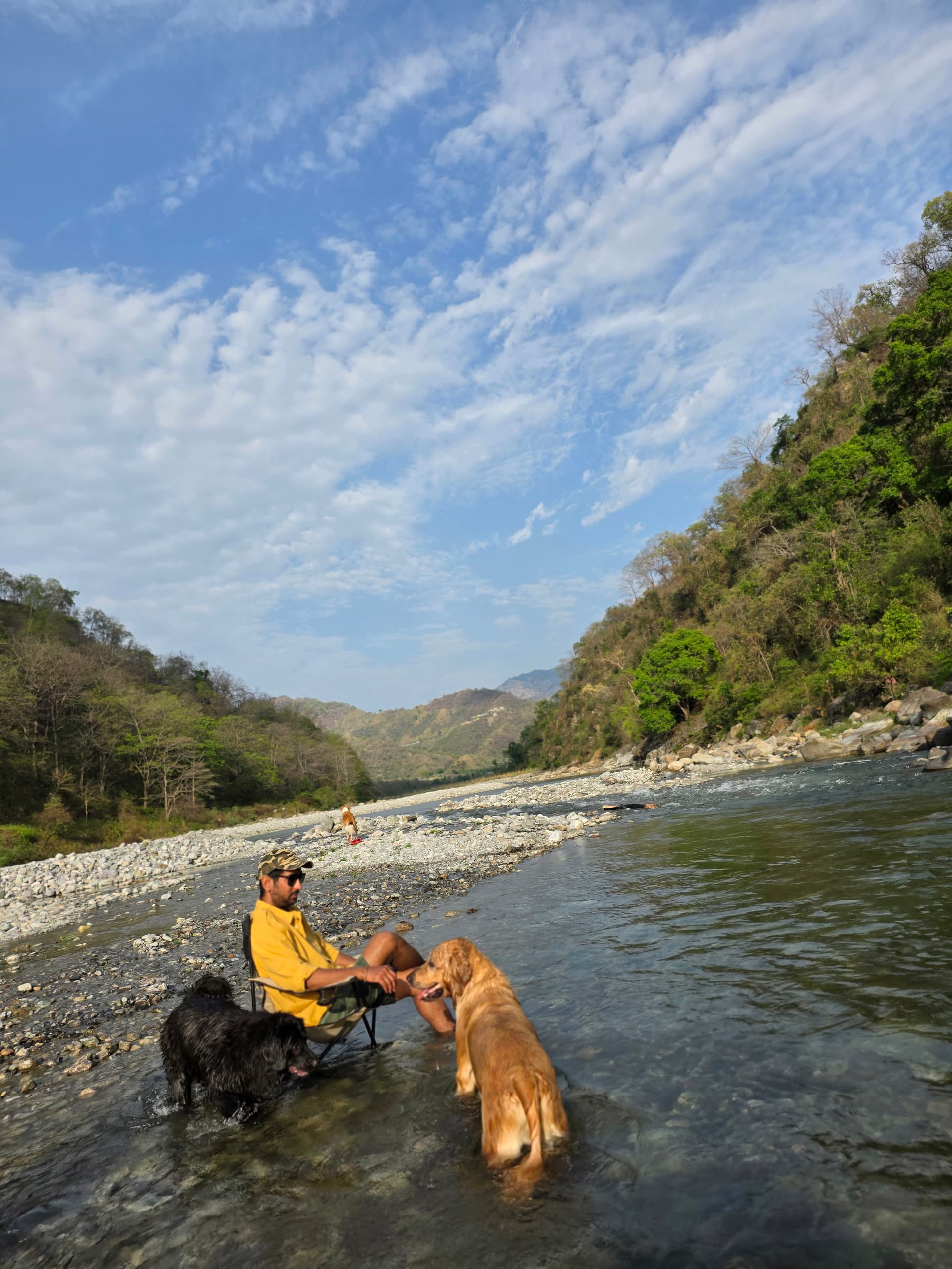 Kosi River — Dog Play Spot near The Den Corbett