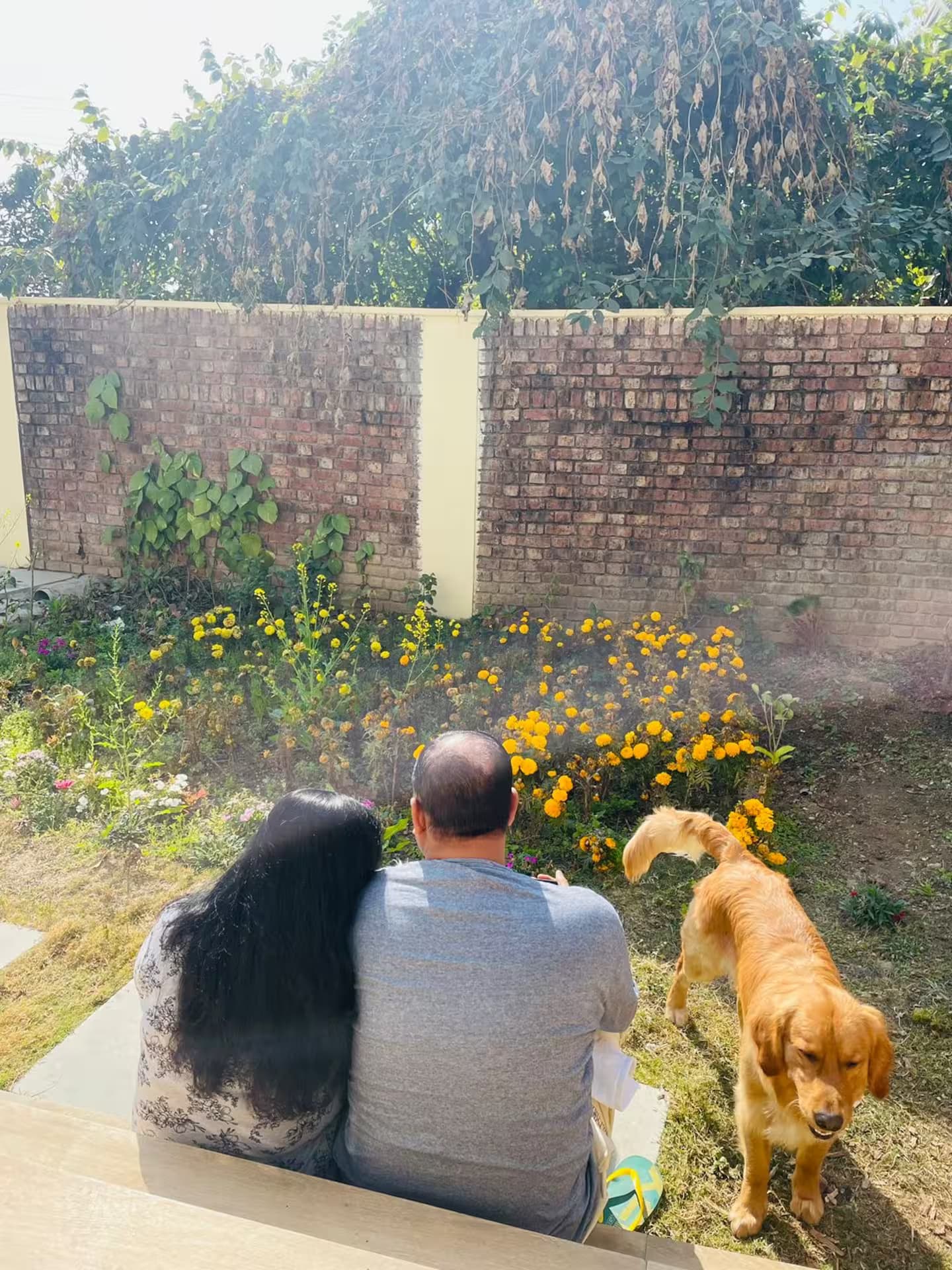 Shigally Hills Luxury Petfriendly Villa with BBQ and Mussoorie View (Purkal Gaon)