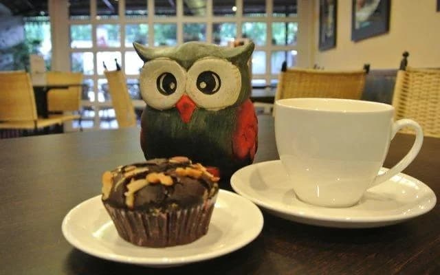 Wise Owl The Coffee Shop (Kolkata)
