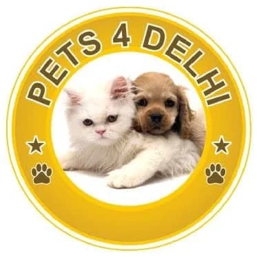 Pets 4 Delhi (New Delhi)