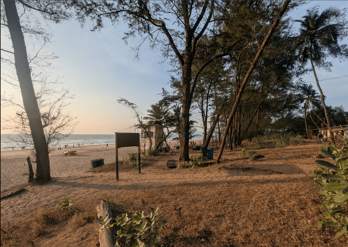 Galgibaga Beach, South Goa (Canacona)
