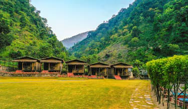Jungle tale : A pet friendly resort (Dehradun)