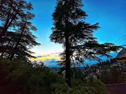 Uptown Boutique Homes B&B Shimla