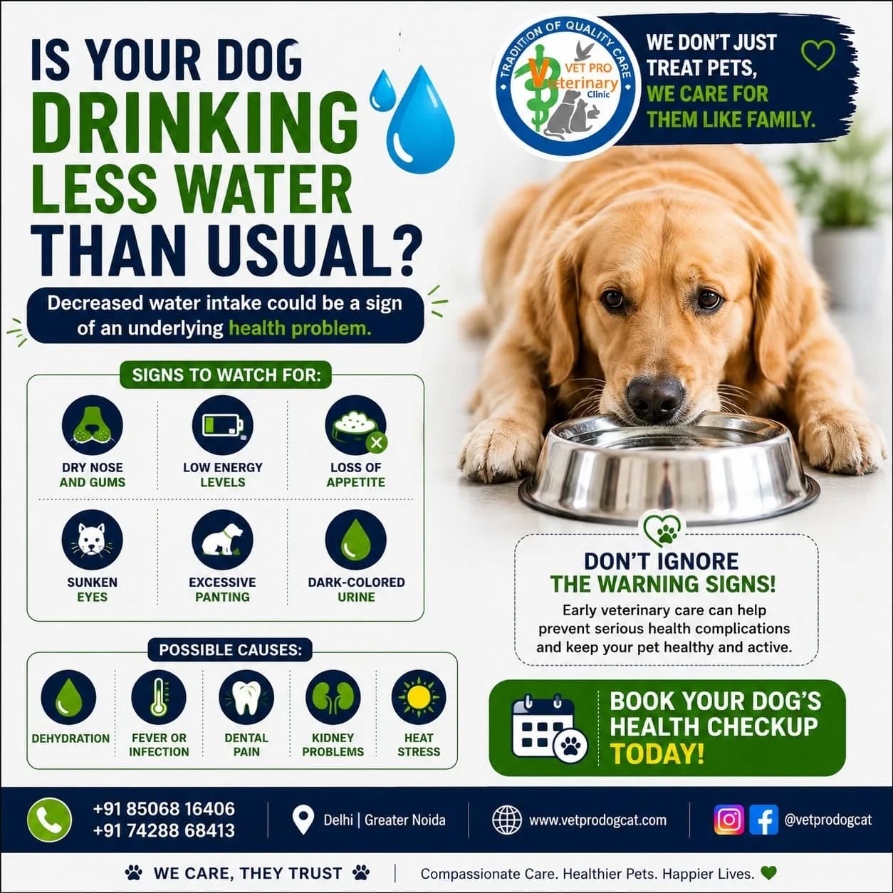 VET PRO Kumar's Dog & Cat Clinic (Delhi)