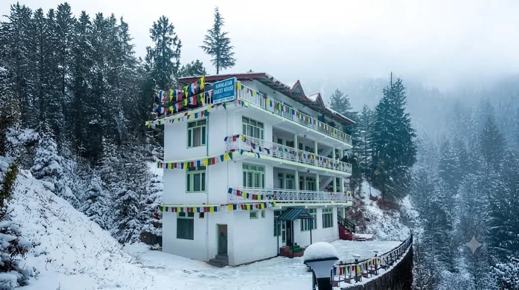 Dormigo Manali