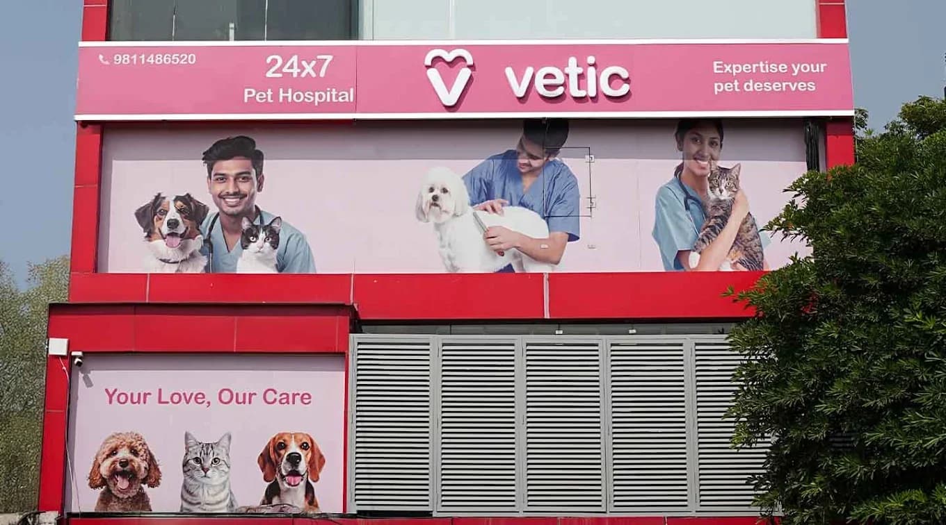 Vetic Pet Clinic Dwarka Sec 17 (Delhi)
