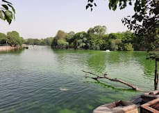 Deer Park Off-Leash Area (Hauz Khas, Delhi)