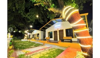 Tree Aura Retreat (Rishikesh)