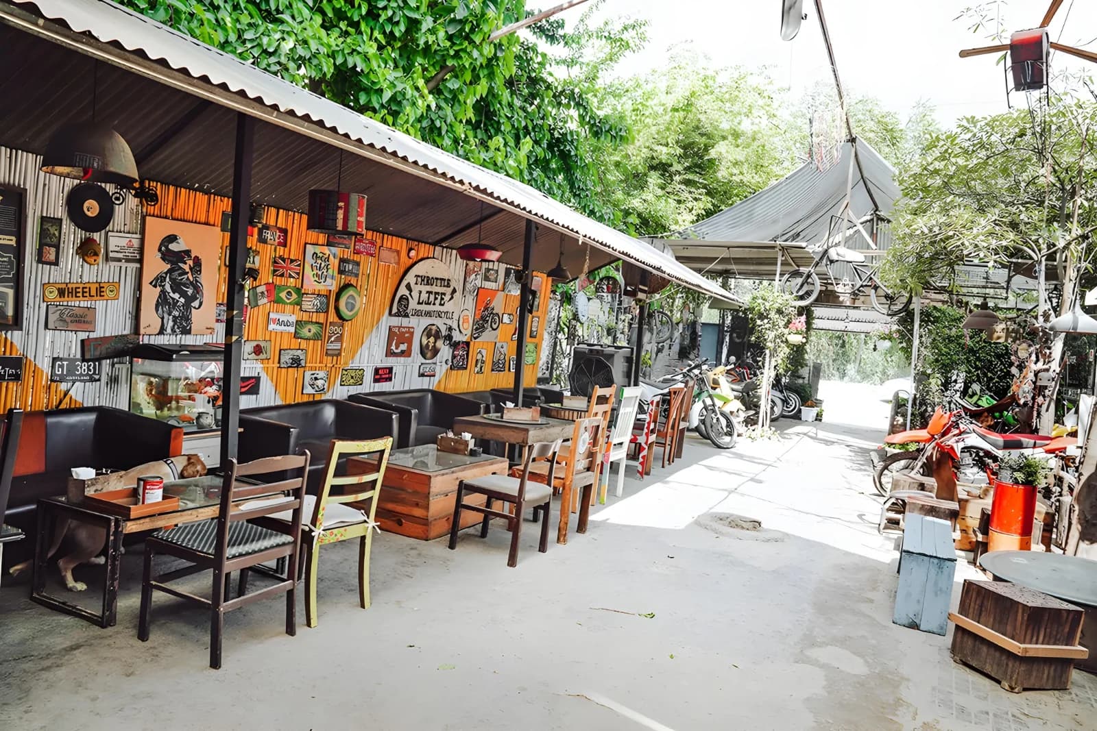 Throttle Shrottle (Indore)