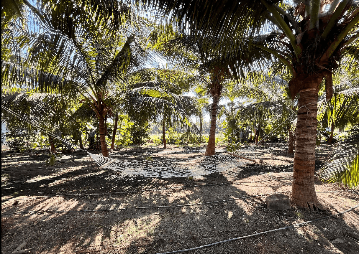 Coconut Farm stay - Near Somnath