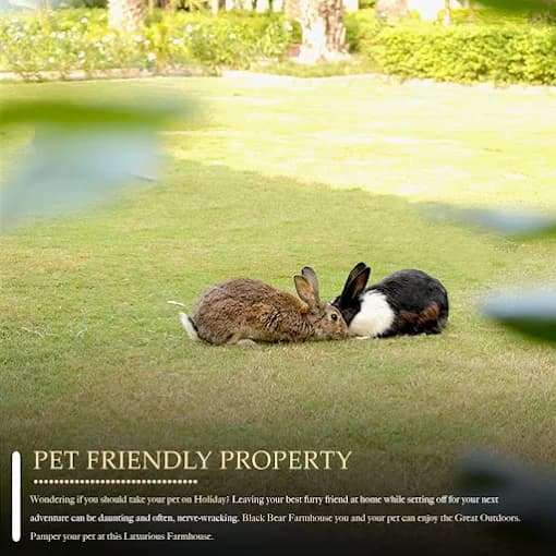 Black Bear Farmhouse (Jaipur)