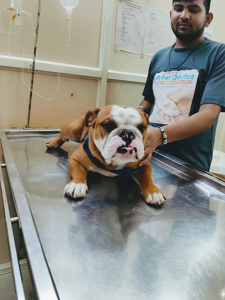 Pet Chikitsa Veterinary Hospital (Gurugram)