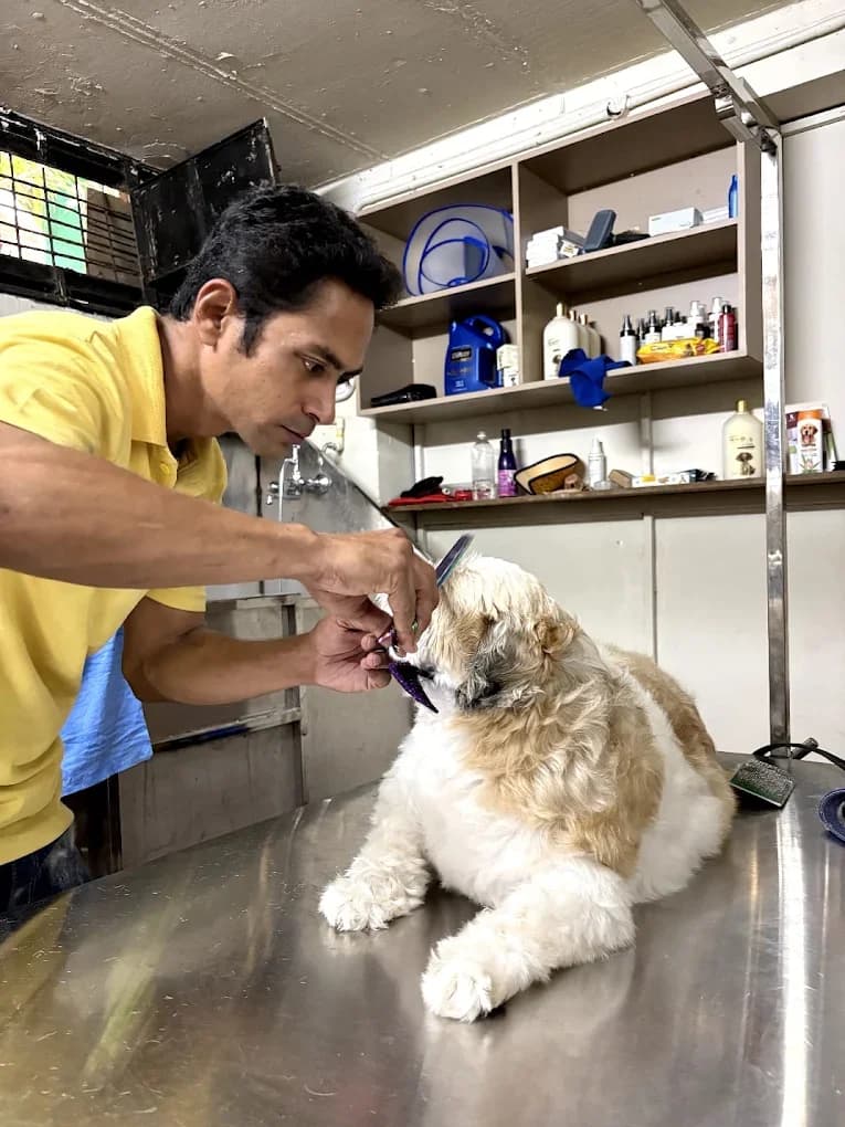 Vet Prime Care Clinic (Gurugram)