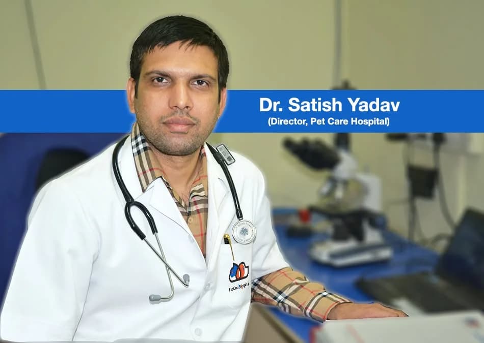 Pet Care Hospital (New Delhi)