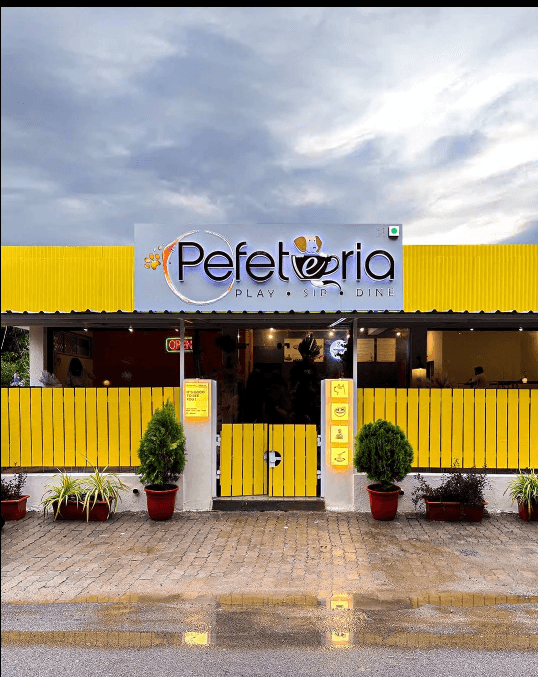 Pefeteria - Gujarat's 1st Pet Cafe